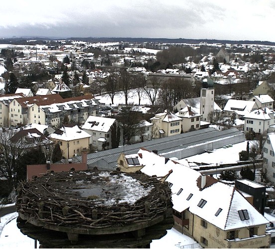2010-02-03_133411.jpg