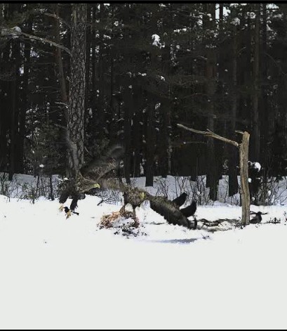 2010-02-04_140103.jpg