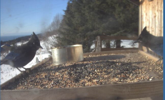 2010-02-04_225432.jpg