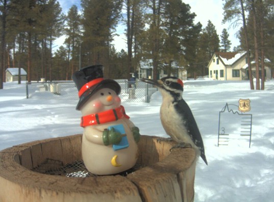 2010-02-05_084133.jpg