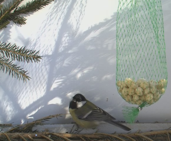 2010-02-06_103957.png