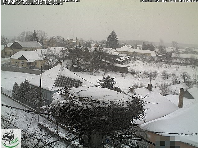 2010-02-07_082721.png