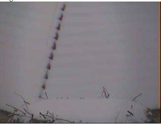 2010-02-07_082811.png
