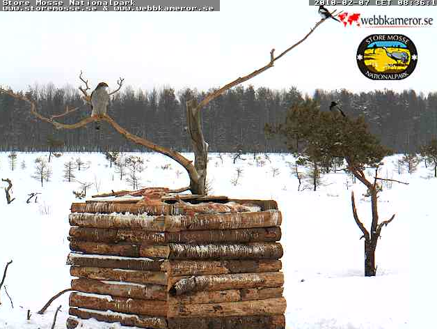 2010-02-07_084904.png