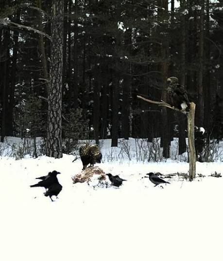 2010-02-07_112114.jpg