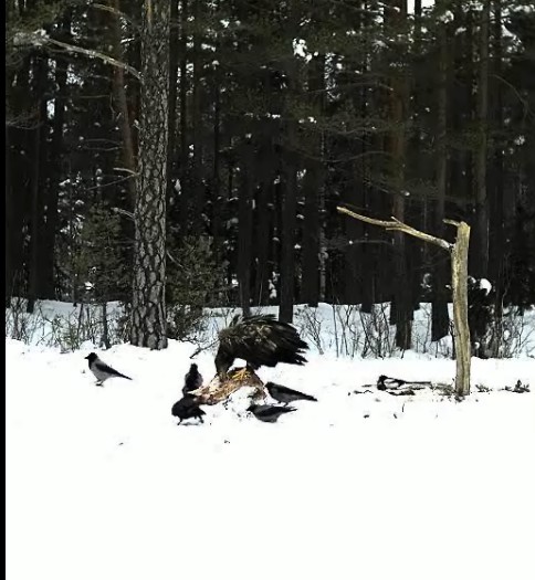 2010-02-07_115805.jpg