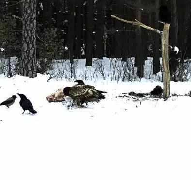 2010-02-07_135910.jpg