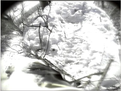 2010-02-07_180850.jpg