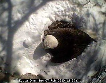 2010-02-07_183833.jpg