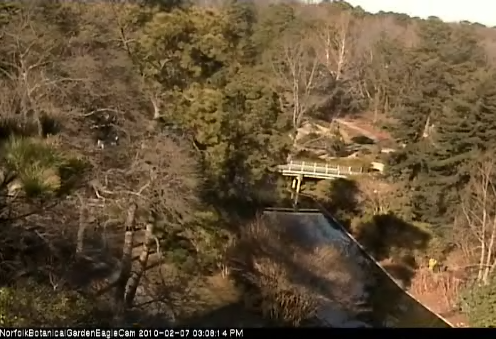 2010-02-07_210841.png