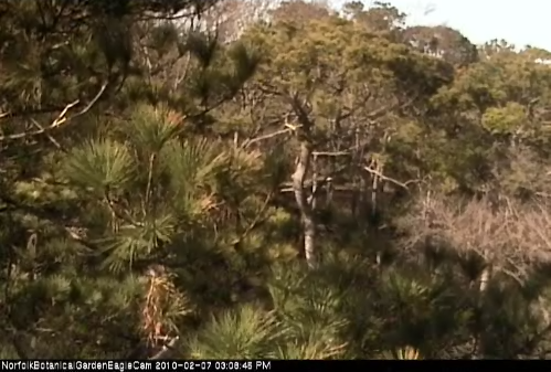 2010-02-07_210913.png