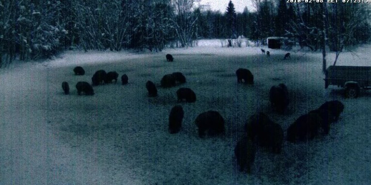 2010-02-08_062911.jpg