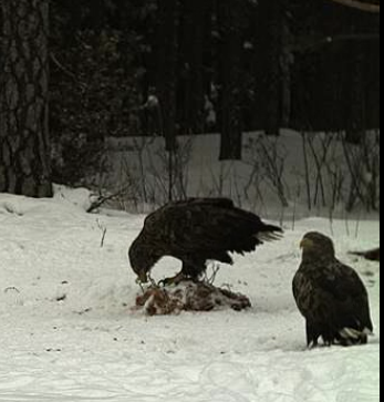 2010-02-09_141938.png