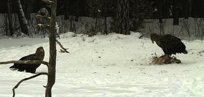 2010-02-09_155129.png