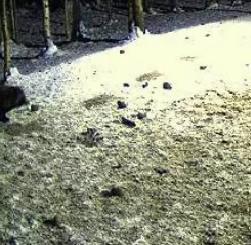 2010-02-09_172622.jpg
