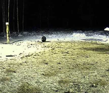 2010-02-09_180414.jpg