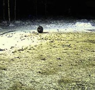 2010-02-09_180635.jpg