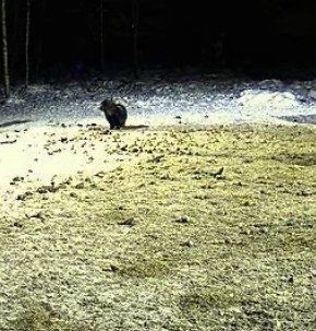 2010-02-09_180739.jpg