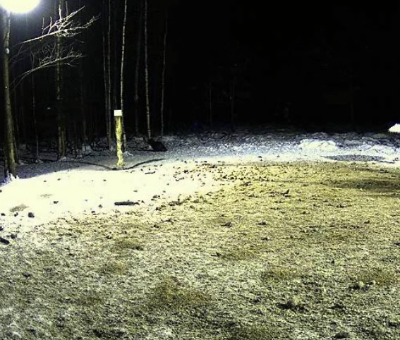 2010-02-09_180754.jpg