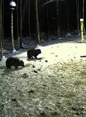 2010-02-09_183118.jpg
