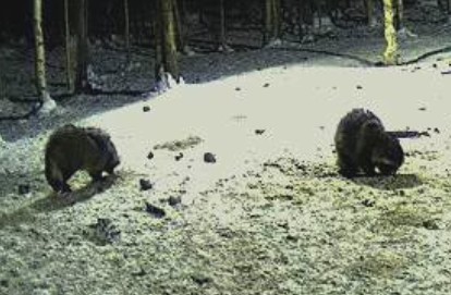 2010-02-09_190035.jpg