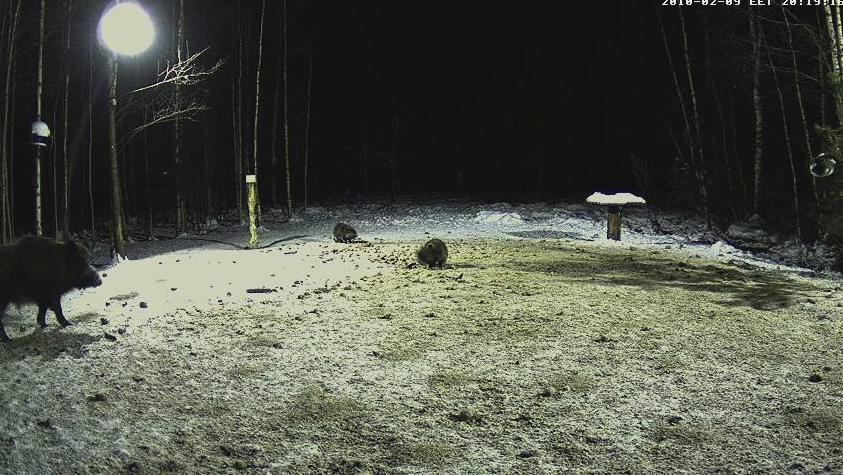 2010-02-09_192008.png