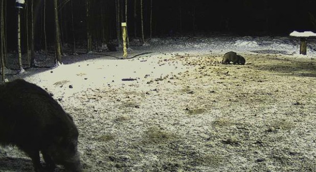 2010-02-09_200157.jpg