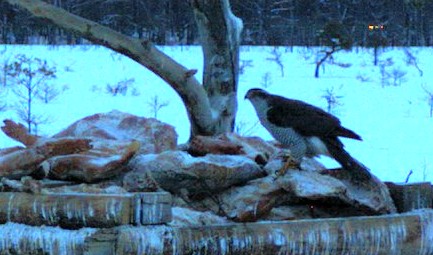 2010-02-10_071415.jpg