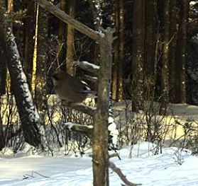 2010-02-10_091626.png