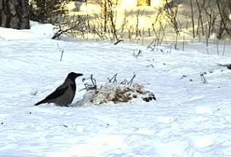 2010-02-10_091717.png