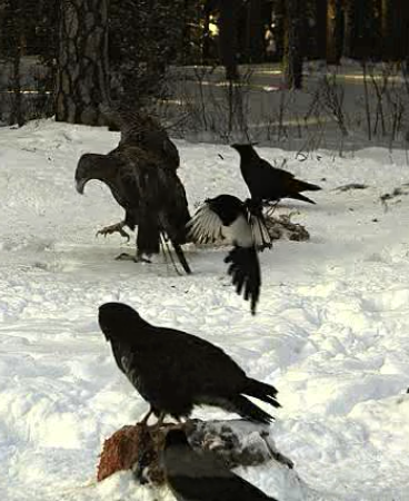 2010-02-10_135608.png