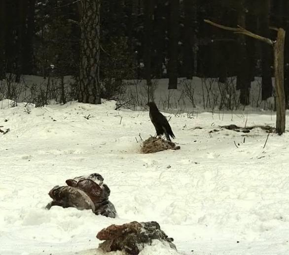 2010-02-12_101618.jpg