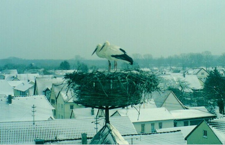 2010-02-12_112254.jpg