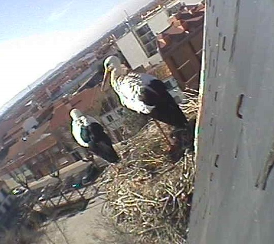 2010-02-12_112311.jpg