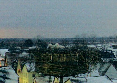 2010-02-13_070213.jpg