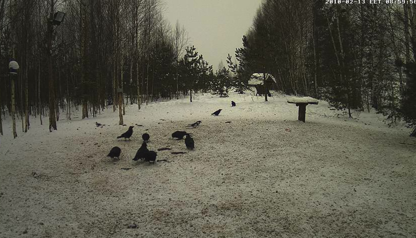 2010-02-13_080102.png