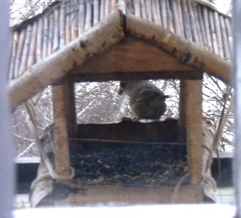 2010-02-13_172246.jpg