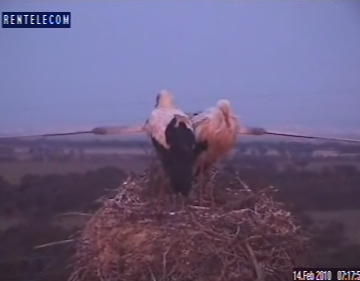 2010-02-14_081758.png