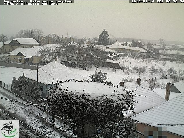 2010-02-14_085741.jpg