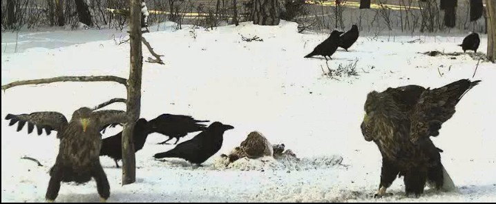 2010-02-14_140429.jpg