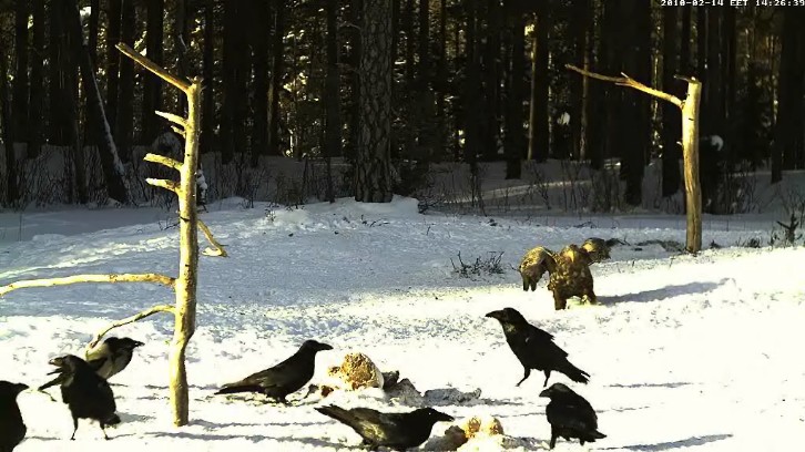 2010-02-14_13sietek1.jpg