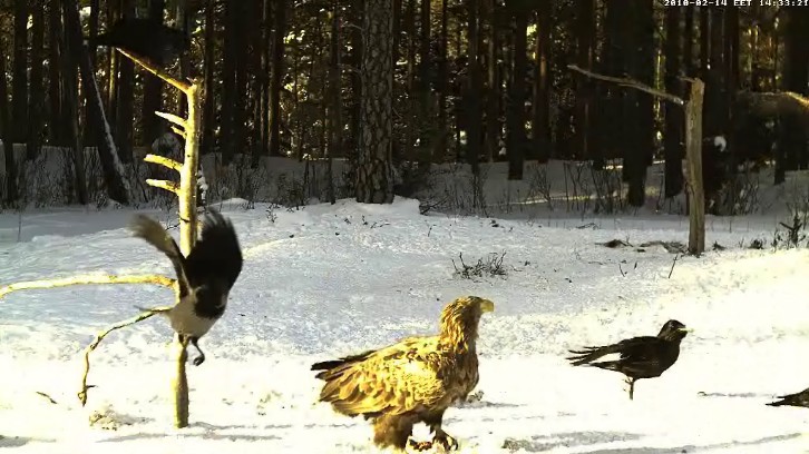 2010-02-14_13ittvagyok.jpg