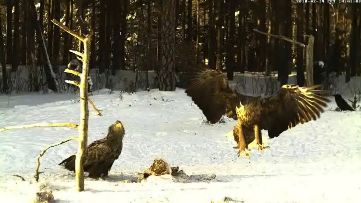 2010-02-14_13IDE_ENGEDSZ.jpg