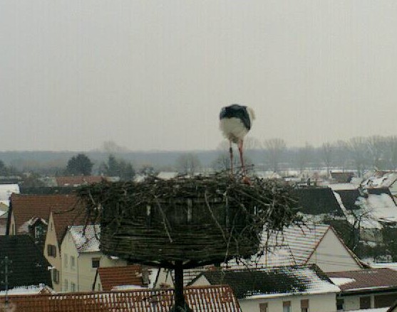 2010-02-14_161829.jpg