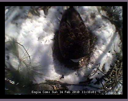 2010-02-14_171856.png