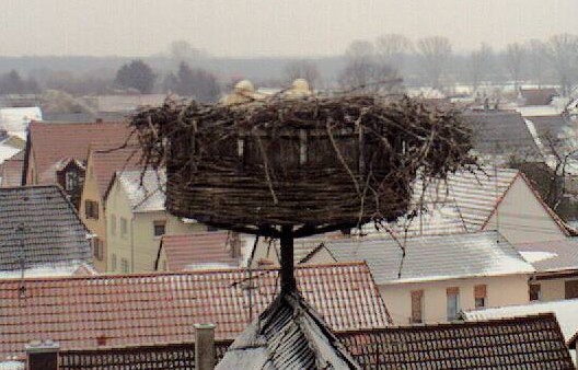 2010-02-15_074222.jpg