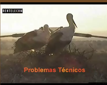 2010-02-16_055307.png