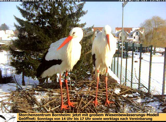 2010-02-16_134220.png