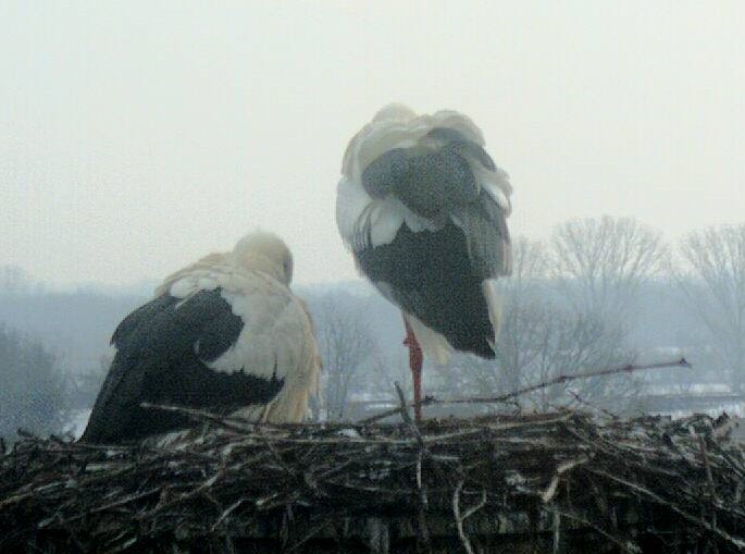 2010-02-17_094346.jpg