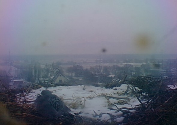 2010-02-17_155241.jpg